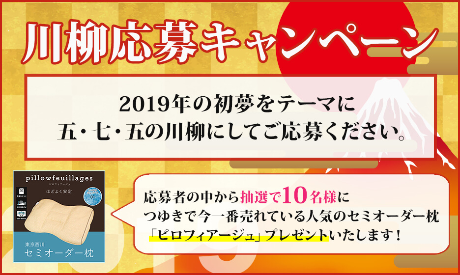 川柳応募キャンペーン2019年の初夢をテーマに五・七・五の川柳にしてご応募ください。