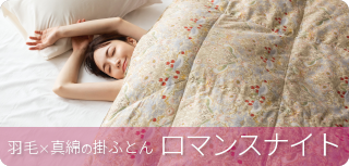 ロマンスナイト