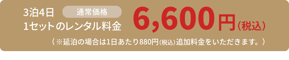 通常価格6,600円（税込）