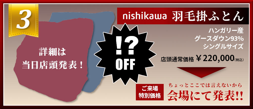 西川 ハンガリー産グースダウン93％ 80サテン 羽毛掛けふとん nishikawa