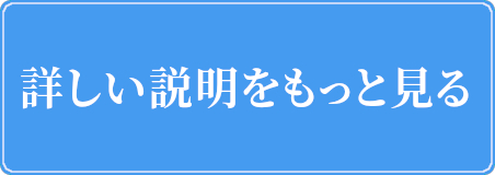 詳しい説明をもっと見る