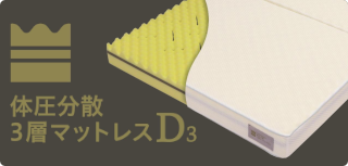D3