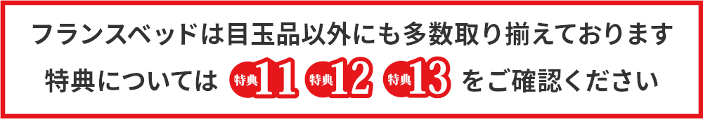フランスベッドは目玉品以外にも多数取り揃えております,特典については「特典11」「特典12」「特典13」をご確認ください