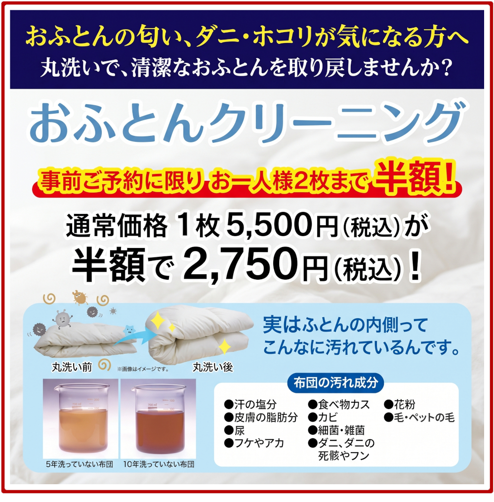 クリーニング,事前予約に限り半額,お一人様2枚まで